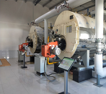 WNS燃油燃?xì)庹羝仩t